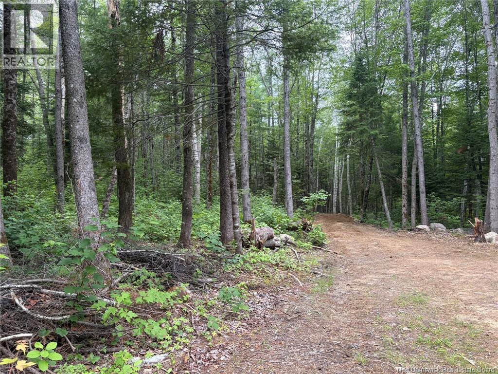 0 Tucker Lane, White Rapids, New Brunswick  E3B 4P8 - Photo 4 - NB129391