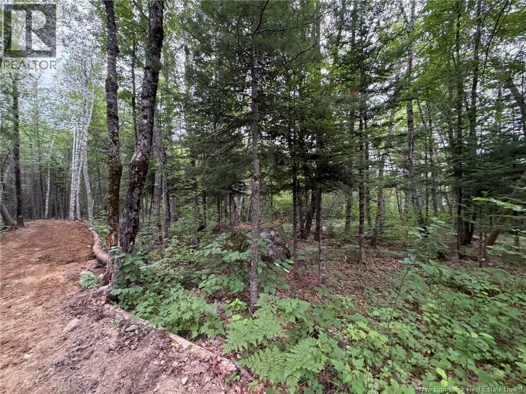 0 Tucker Lane, White Rapids, New Brunswick  E3B 4P8 - Photo 7 - NB129391