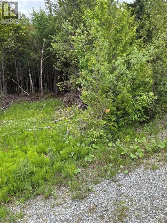 A-32 Deer Glen Drive, Saint John, New Brunswick E2H 2Z6 - Photo 1 - NB143822