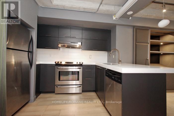 101 - 49 Stewart Street, Toronto, Ontario  M5V 2V1 - Photo 12 - C13550080