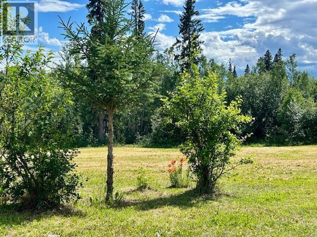 319 Alaska Highway, Fort Nelson, British Columbia  V0C 1R0 - Photo 14 - R3144848