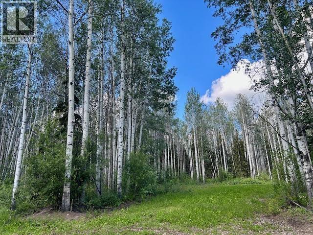 319 Alaska Highway, Fort Nelson, British Columbia  V0C 1R0 - Photo 10 - R3144848