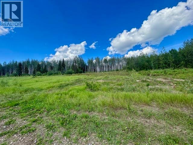 319 Alaska Highway, Fort Nelson, British Columbia  V0C 1R0 - Photo 7 - R3144848