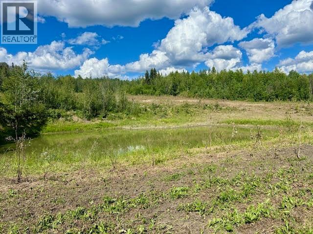 319 Alaska Highway, Fort Nelson, British Columbia  V0C 1R0 - Photo 9 - R3144848
