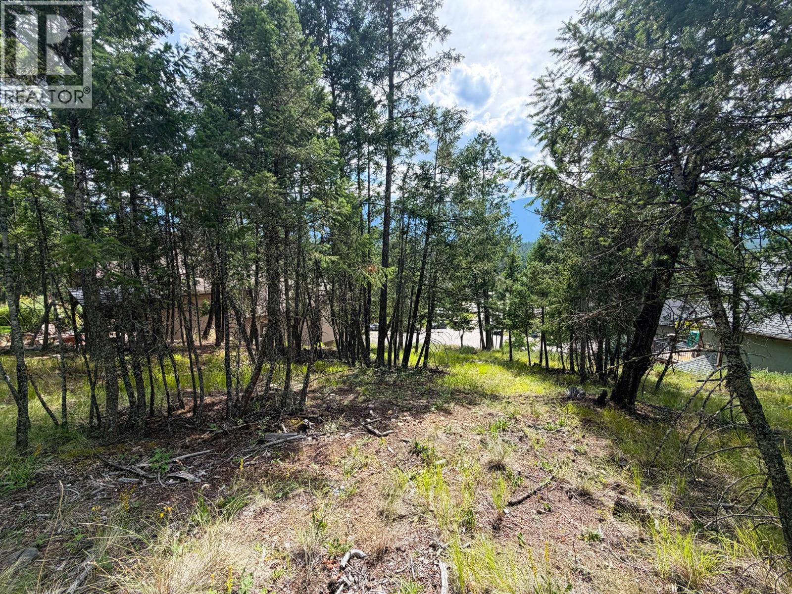 61 Sandstone Circle, Invermere, British Columbia  V0A 1K6 - Photo 7 - 10394338