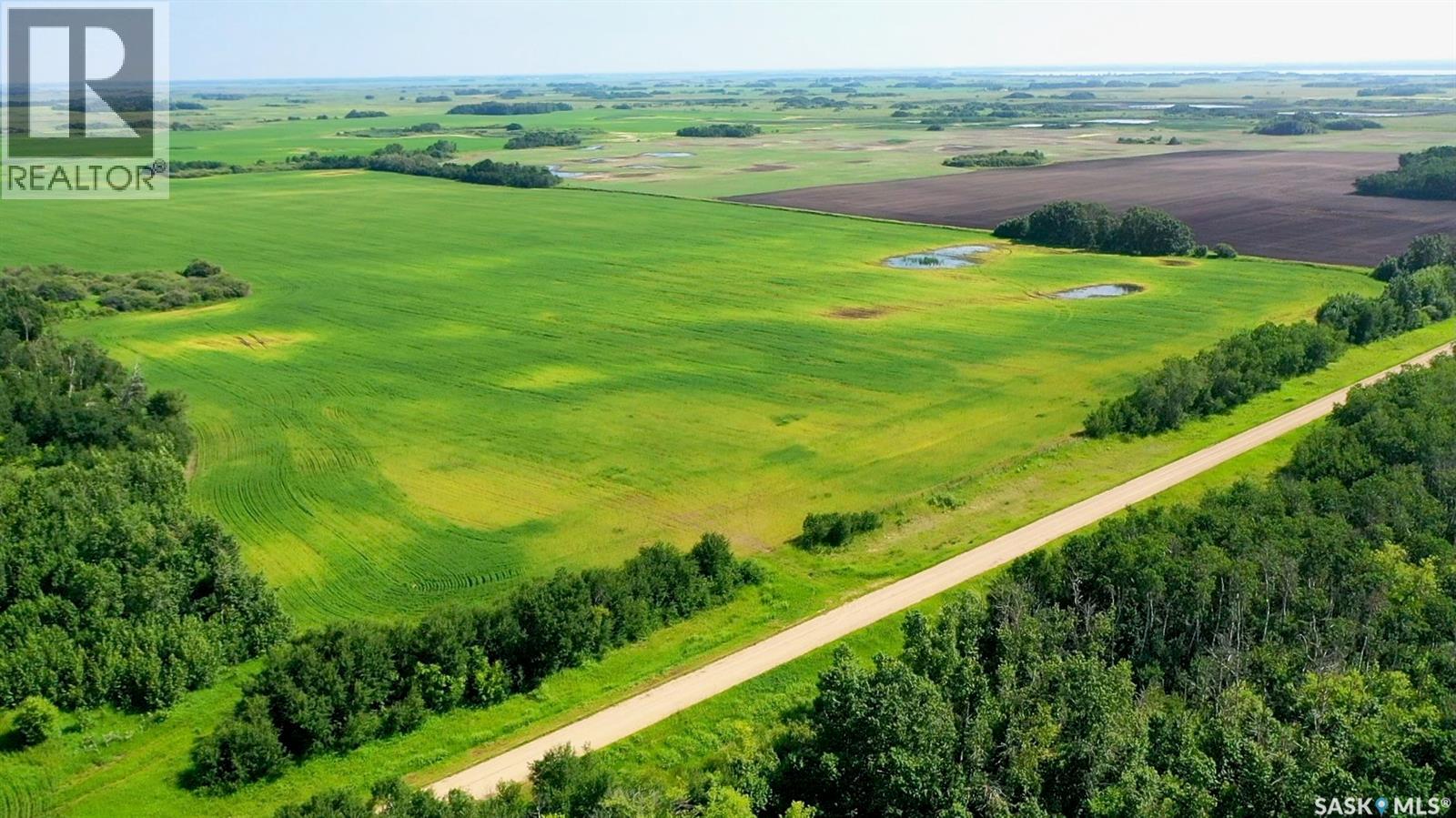 R G Farm, Cana Rm No. 214, Saskatchewan  S3N 2W4 - Photo 8 - SK041970