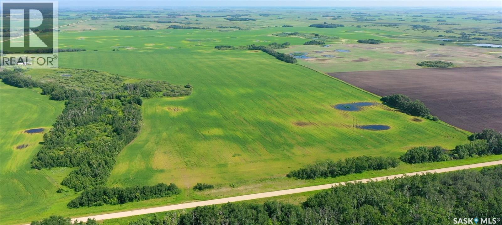 R G Farm, Cana Rm No. 214, Saskatchewan  S3N 2W4 - Photo 20 - SK041970
