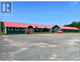 3 Burnt Berry Pond Road, Springdale Junction, Newfoundland & Labrador