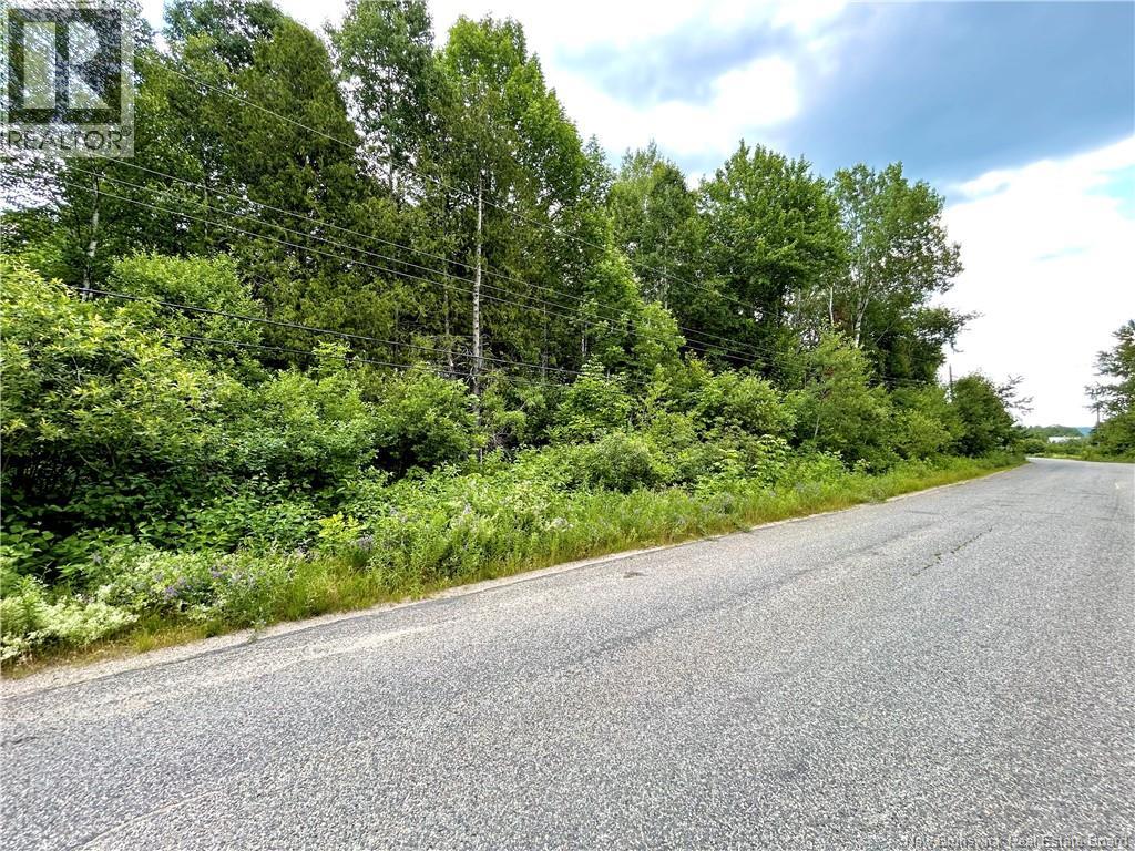 2 Hectares Kanes Lane, Sunny Corner, New Brunswick  E9E 1H7 - Photo 1 - NB142626