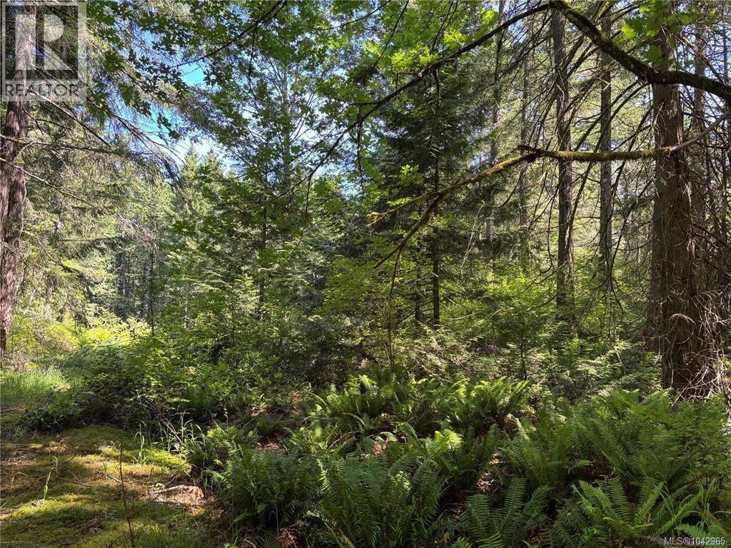 5596 Munn Rd, Highlands, British Columbia  V9E 1G7 - Photo 1 - 1042965