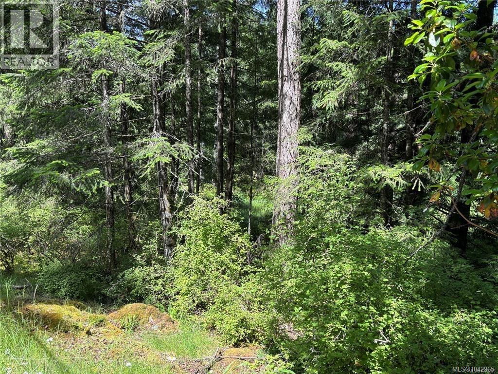 5596 Munn Rd, Highlands, British Columbia  V9E 1G7 - Photo 12 - 1042965