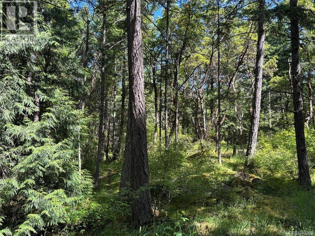 5596 Munn Rd, Highlands, British Columbia  V9E 1G7 - Photo 7 - 1042965