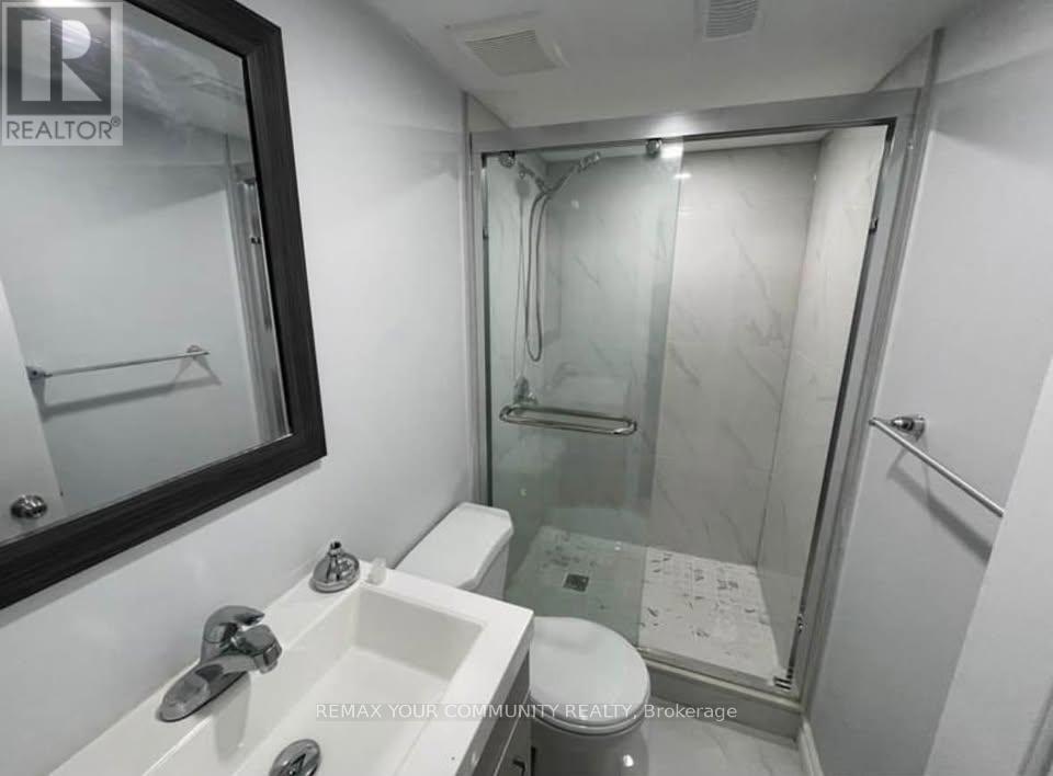 Basement - 10 Andrettti Crescent, Brampton, Ontario L6X 5G7 - Photo 6 - W13549774