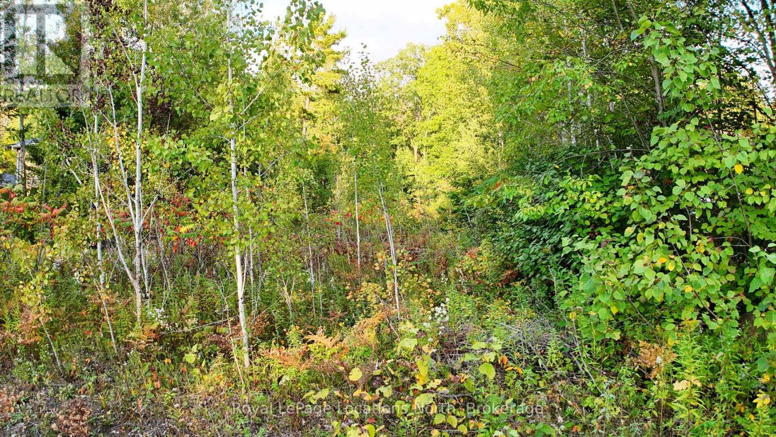 Lot 17 Ronald Ave Avenue, Tiny, Ontario  L0L 1P1 - Photo 4 - S13550898