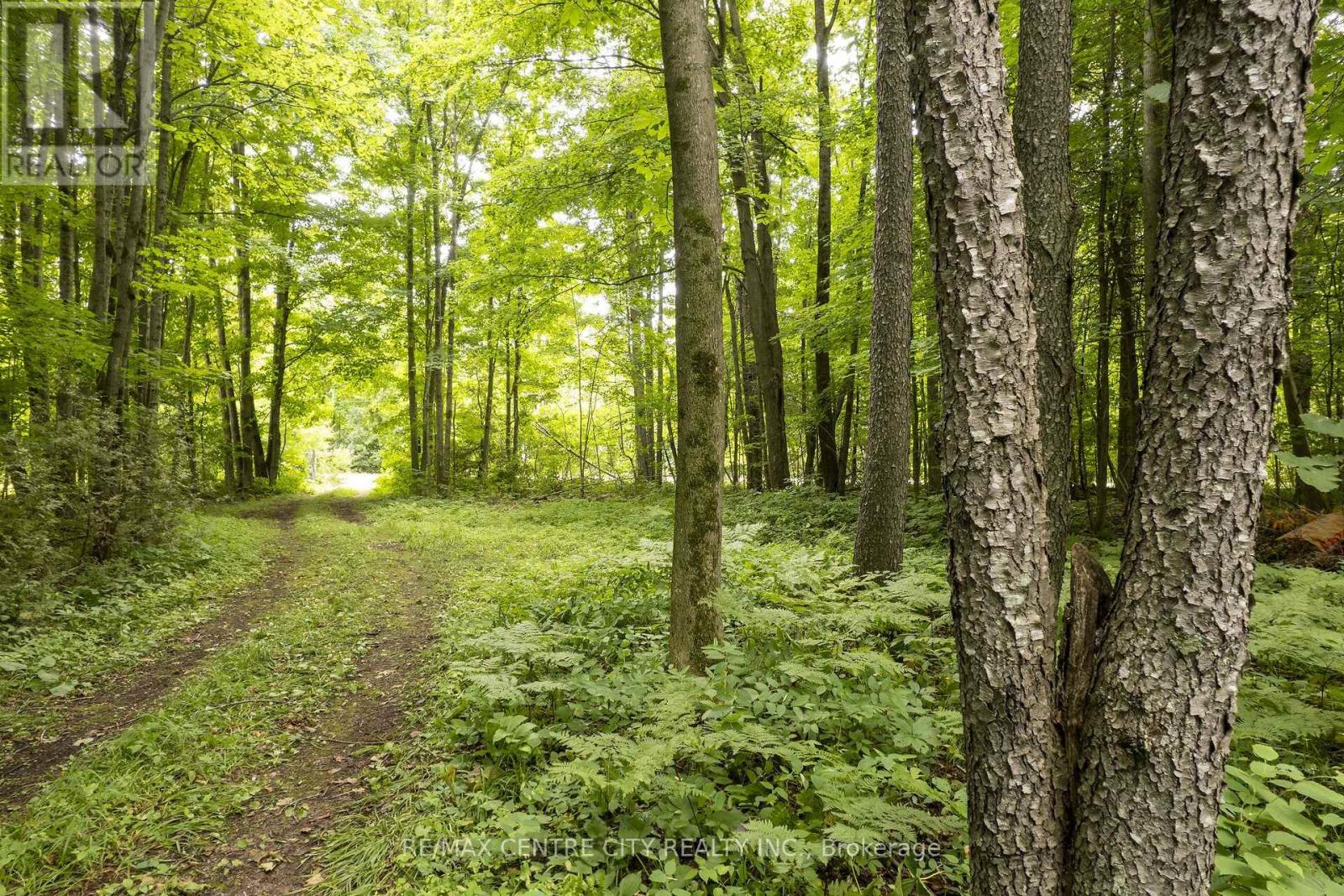 Pt Lt 6 Concesson 8 Road, Elizabethtown-Kitley, Ontario  K7A 4S5 - Photo 25 - X13551052