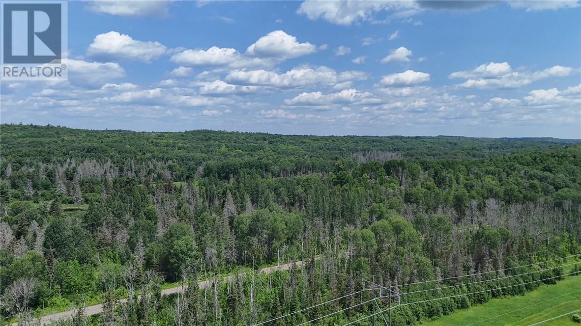 Pcl 10646 Birch Lake Rd, Webbwood, Ontario  P0P 2G0 - Photo 6 - 2129136