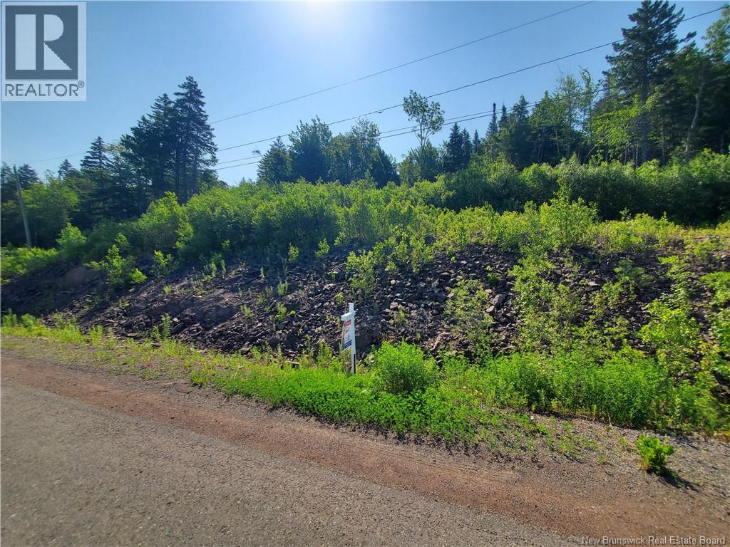 20-54 Orchard Avenue, Irishtown, New Brunswick  E1H 0J5 - Photo 7 - NB143091