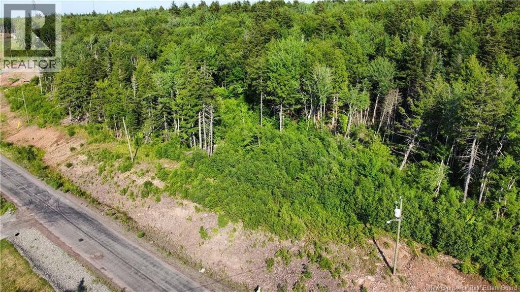 20-54 Orchard Avenue, Irishtown, New Brunswick  E1H 0J5 - Photo 3 - NB143091