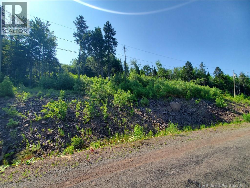20-54 Orchard Avenue, Irishtown, New Brunswick  E1H 0J5 - Photo 9 - NB143091
