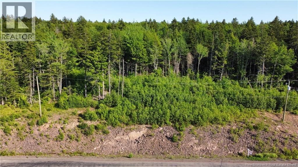 20-54 Orchard Avenue, Irishtown, New Brunswick  E1H 0J5 - Photo 1 - NB143091