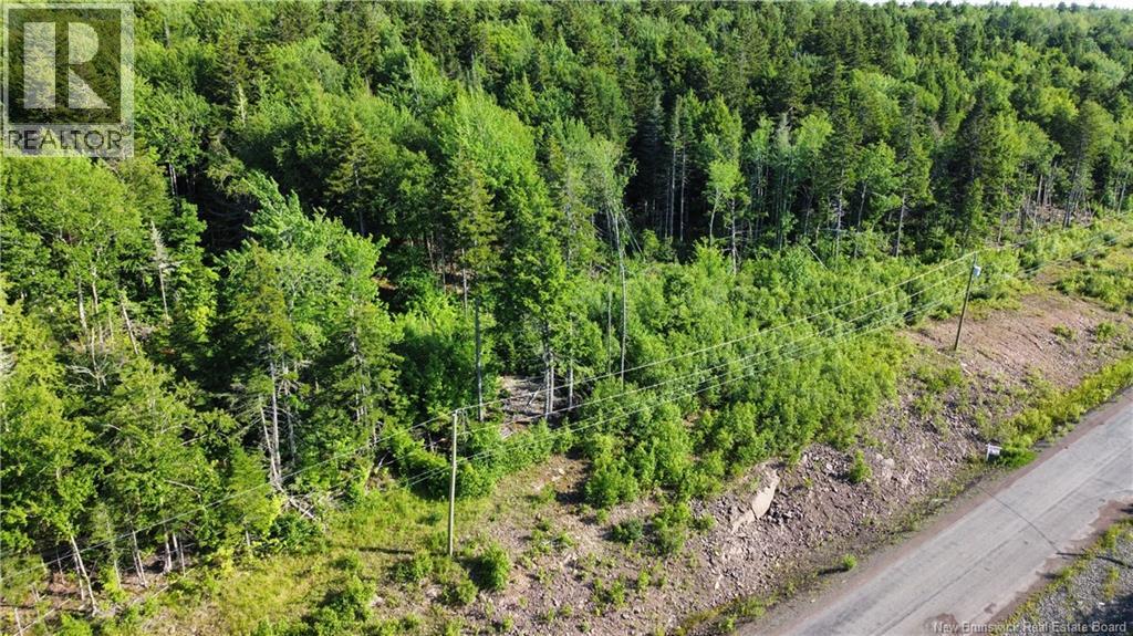 20-54 Orchard Avenue, Irishtown, New Brunswick  E1H 0J5 - Photo 4 - NB143091