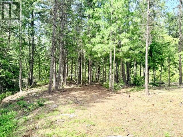 Lot 3 Crown Creek Road, Gray Creek, British Columbia  V0B 1S0 - Photo 27 - 10394417