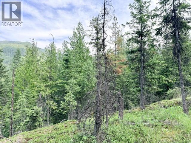 Lot 3 Crown Creek Road, Gray Creek, British Columbia  V0B 1S0 - Photo 3 - 10394417