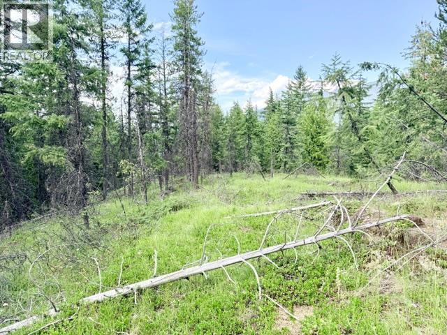 Lot 3 Crown Creek Road, Gray Creek, British Columbia  V0B 1S0 - Photo 4 - 10394417