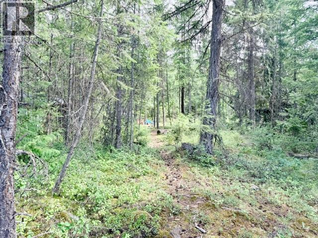 Lot 3 Crown Creek Road, Gray Creek, British Columbia  V0B 1S0 - Photo 5 - 10394417