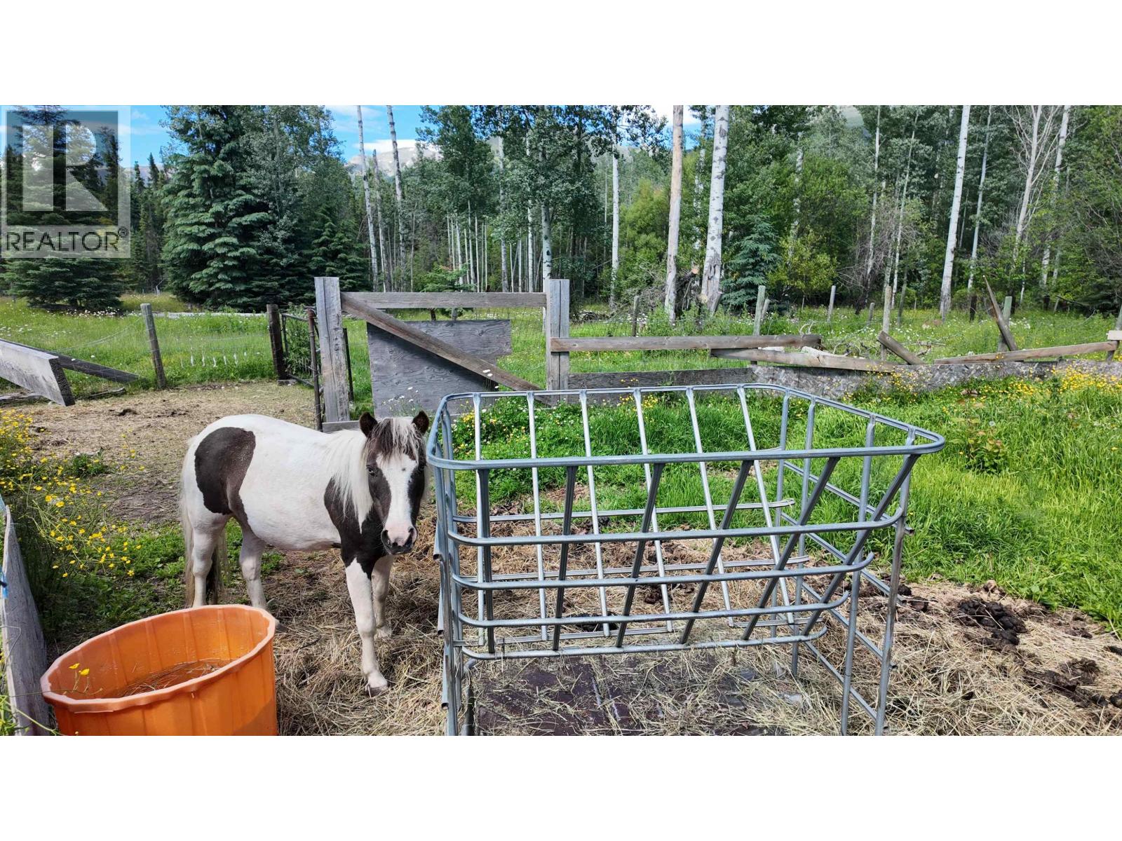 3190 Morrison Road, Valemount, British Columbia  V0E 2Z0 - Photo 19 - R3143981