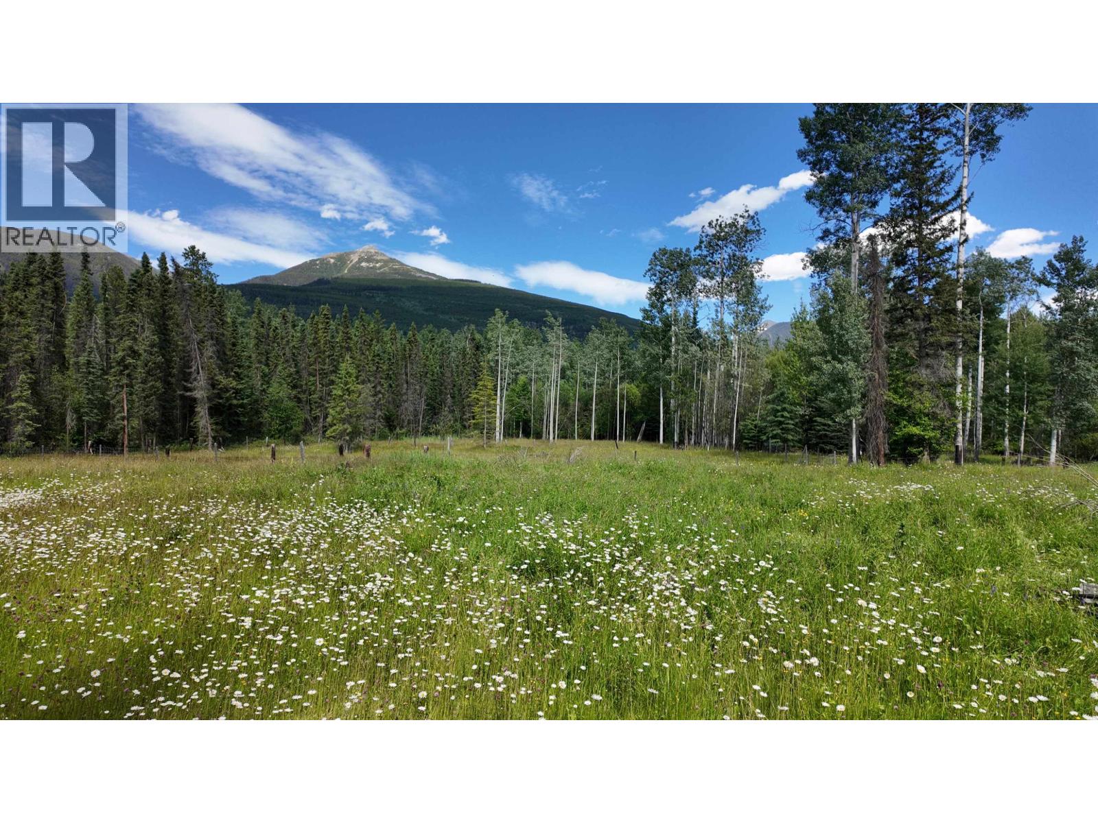 3190 Morrison Road, Valemount, British Columbia  V0E 2Z0 - Photo 14 - R3143981