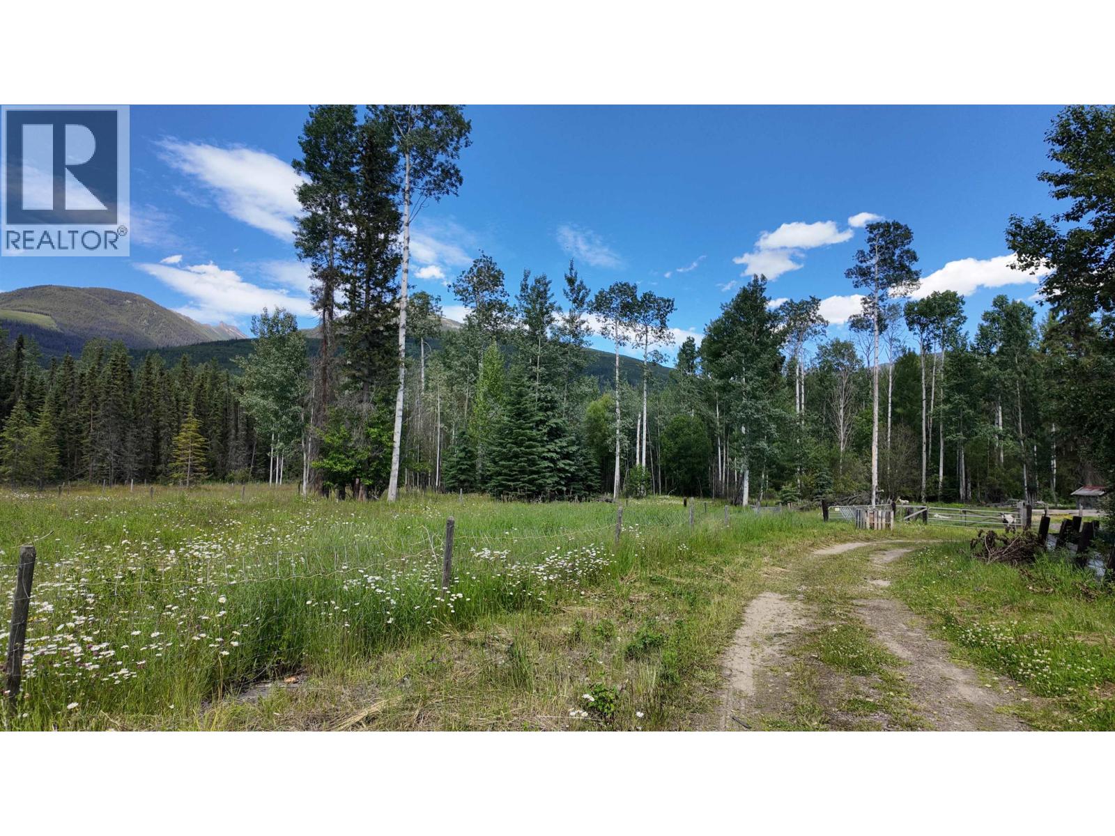 3190 Morrison Road, Valemount, British Columbia  V0E 2Z0 - Photo 20 - R3143981