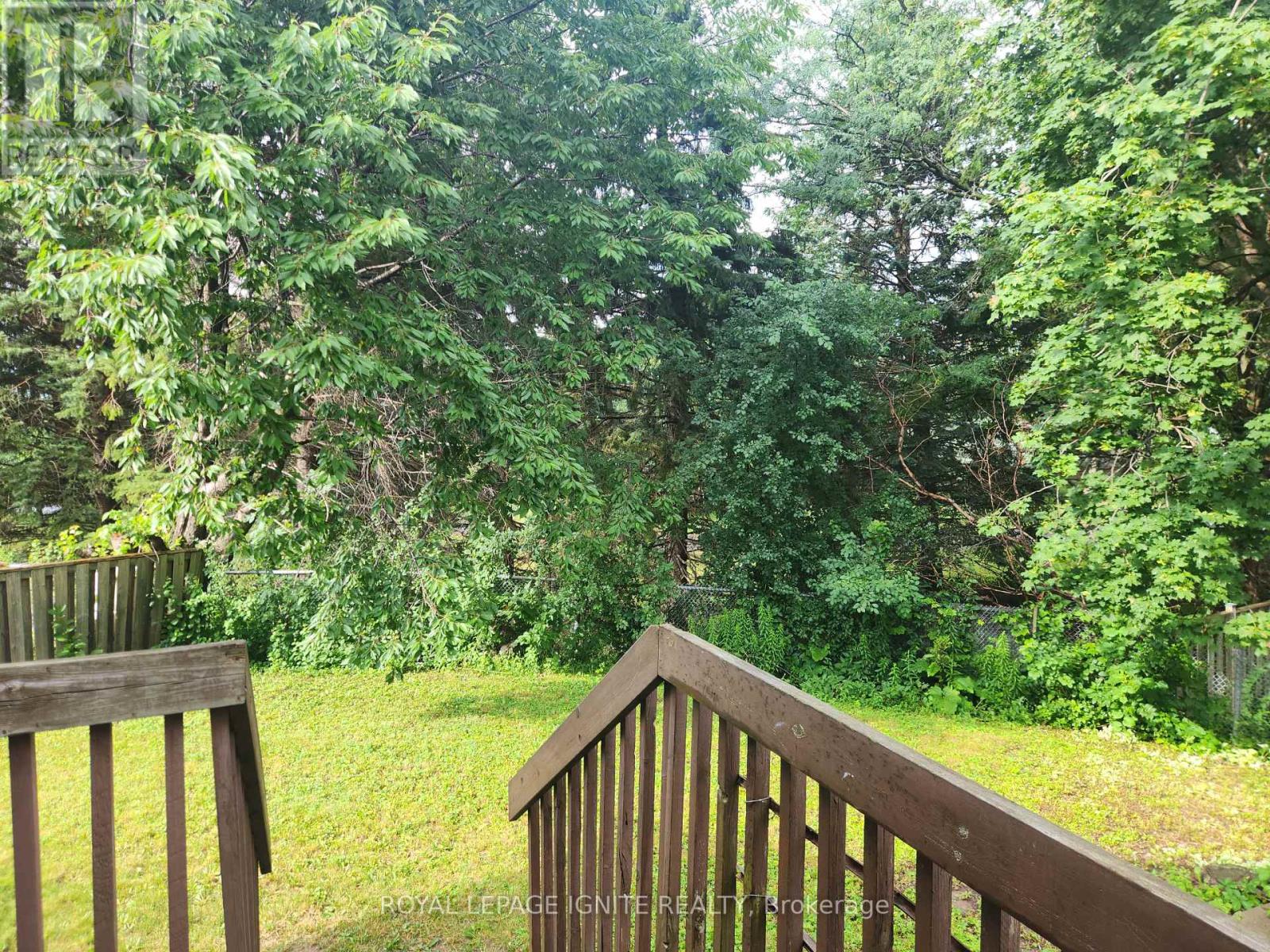 33 Lysander Court, Toronto, Ontario  M1V 3R2 - Photo 19 - E13551880