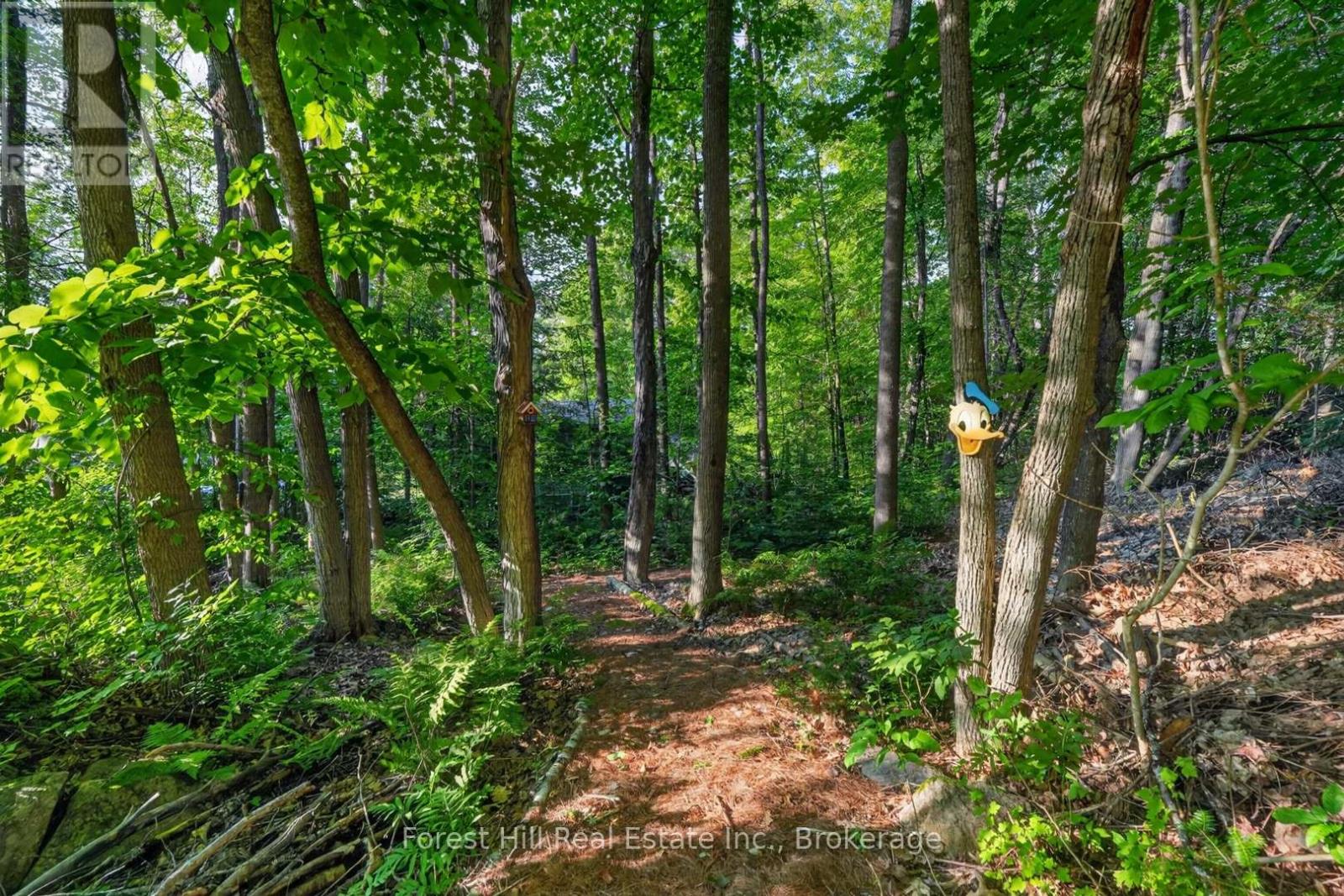 1115 Main Street, Algonquin Highlands, Ontario  P0A 1E0 - Photo 40 - X13552014