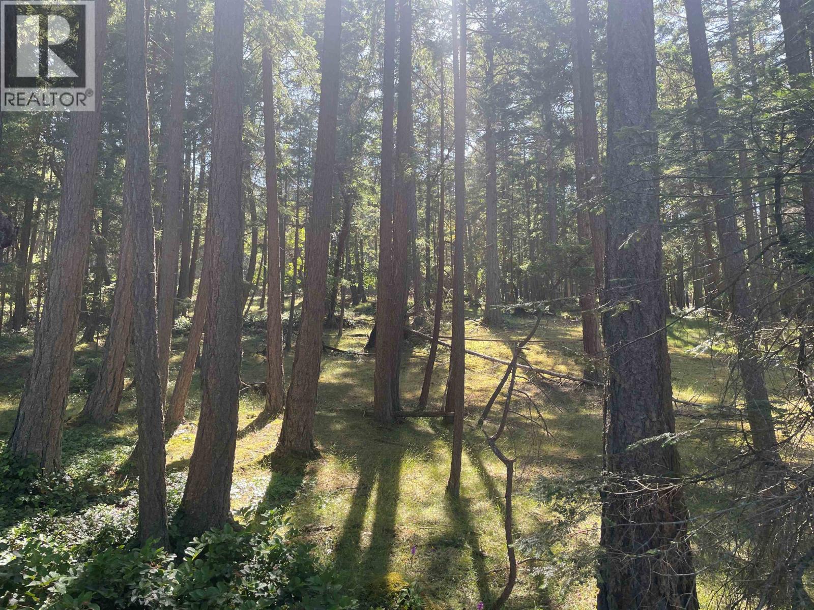 Lot 2 Valdes Island, Other Islands, British Columbia  V0V 0V0 - Photo 20 - R3144895