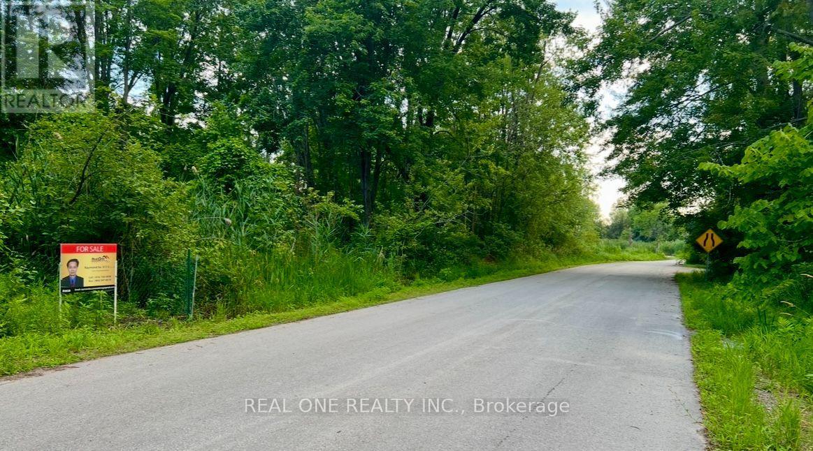 Lot 90 Irving Drive, Georgina, Ontario  L0E 1N0 - Photo 2 - N13541692