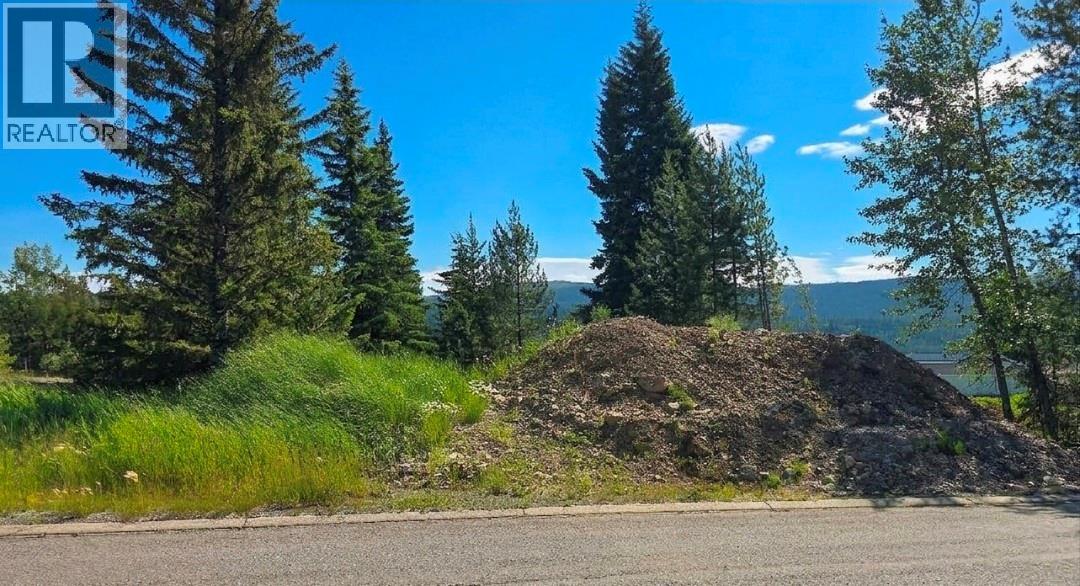 55 Dawson Crescent, Elkford, British Columbia  V0B 1H0 - Photo 3 - 10378774