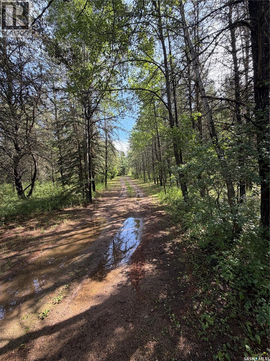 6 Donald Road, Big River Rm No. 555, Saskatchewan  S0J 0E0 - Photo 6 - SK042191