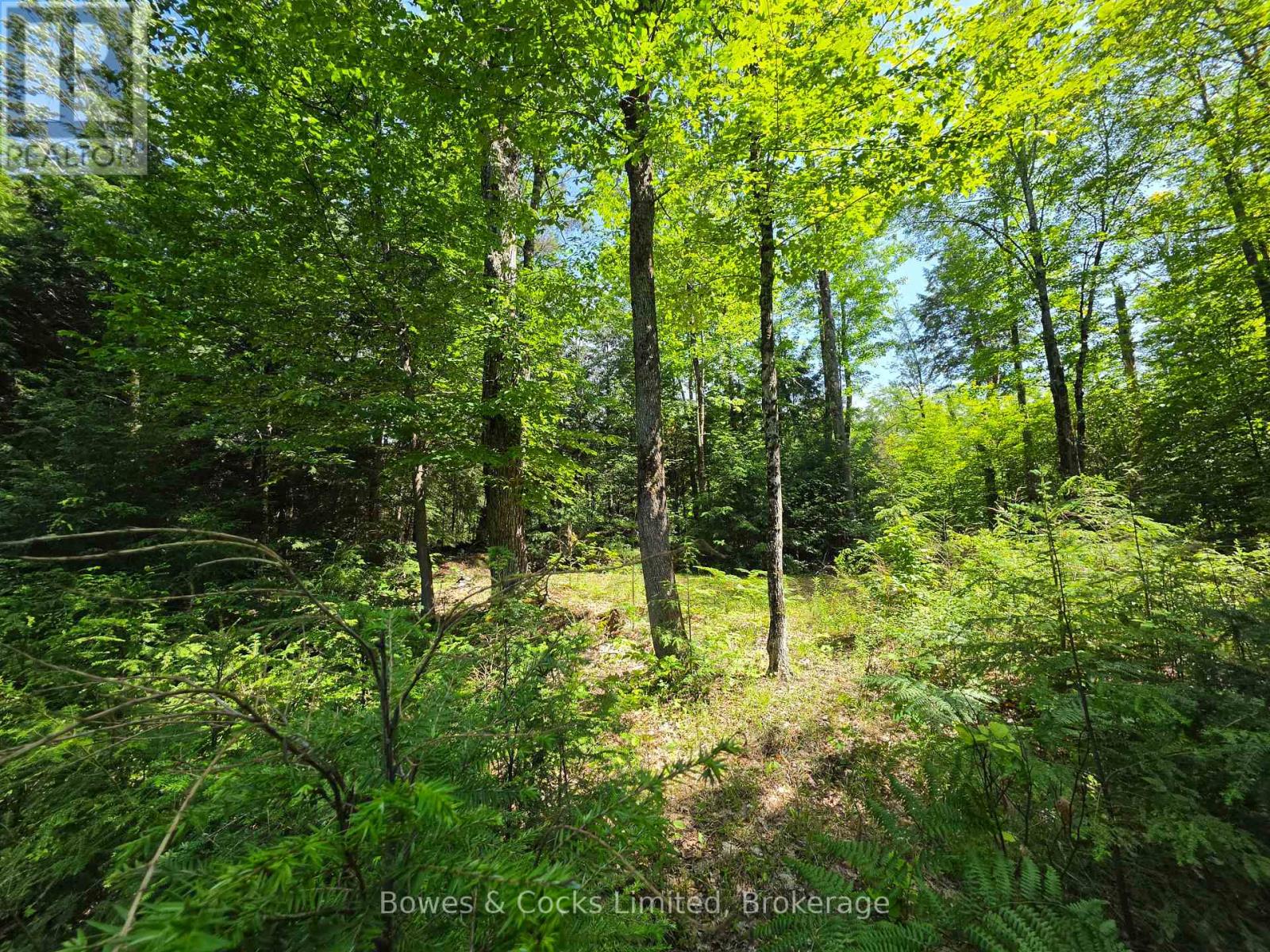 1160 Balmer Road, North Kawartha, Ontario  K0L 1A0 - Photo 6 - X13540040