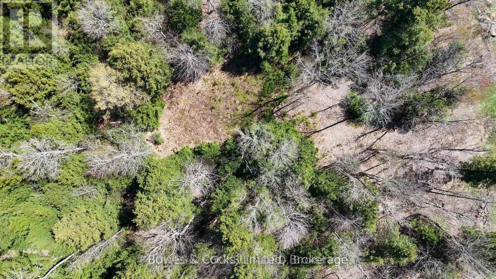 1160 Balmer Road, North Kawartha, Ontario  K0L 1A0 - Photo 16 - X13540040