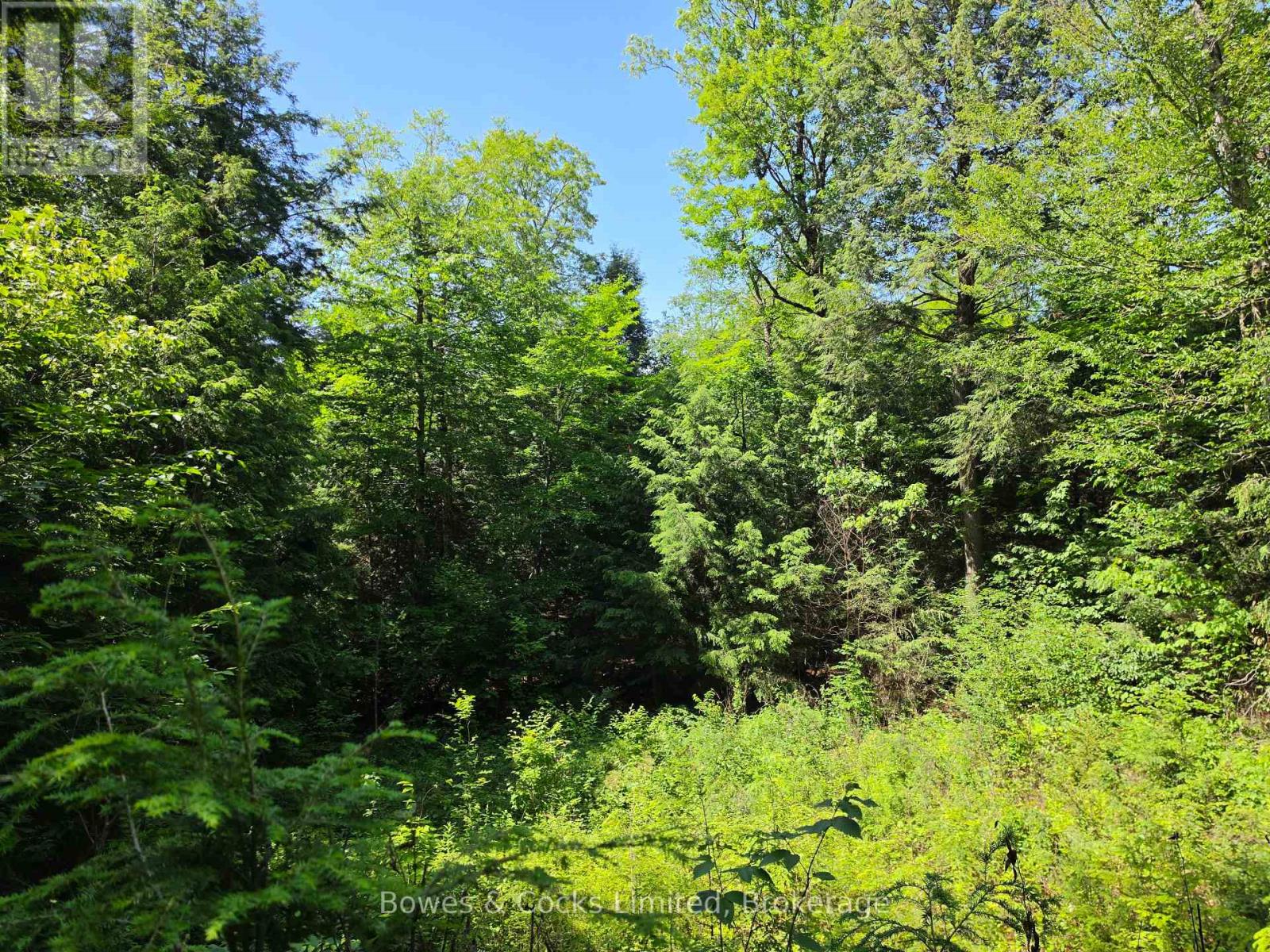 1160 Balmer Road, North Kawartha, Ontario  K0L 1A0 - Photo 4 - X13540040