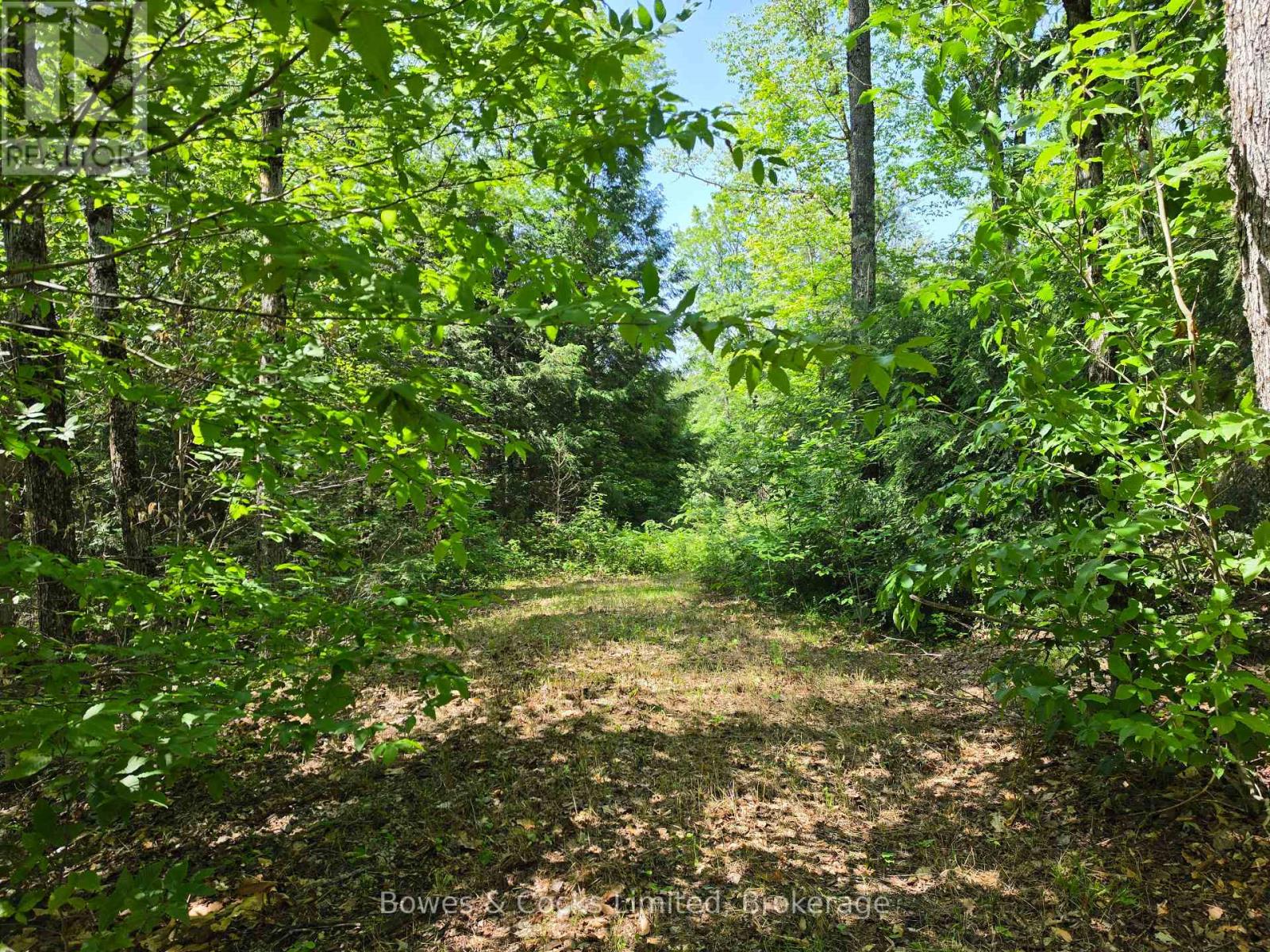 1160 BALMER ROAD, North Kawartha, Ontario
