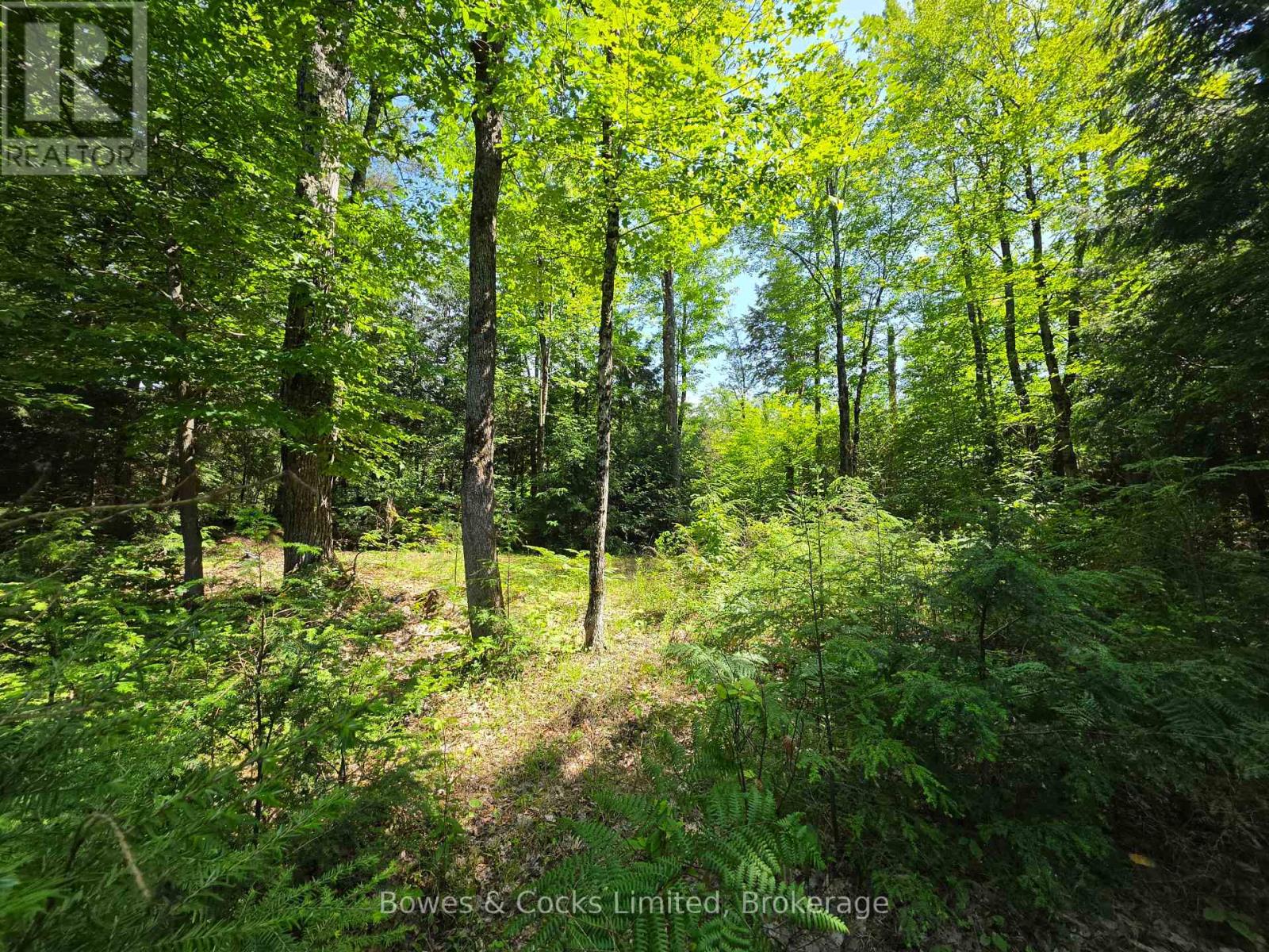 1160 Balmer Road, North Kawartha, Ontario  K0L 1A0 - Photo 7 - X13540040