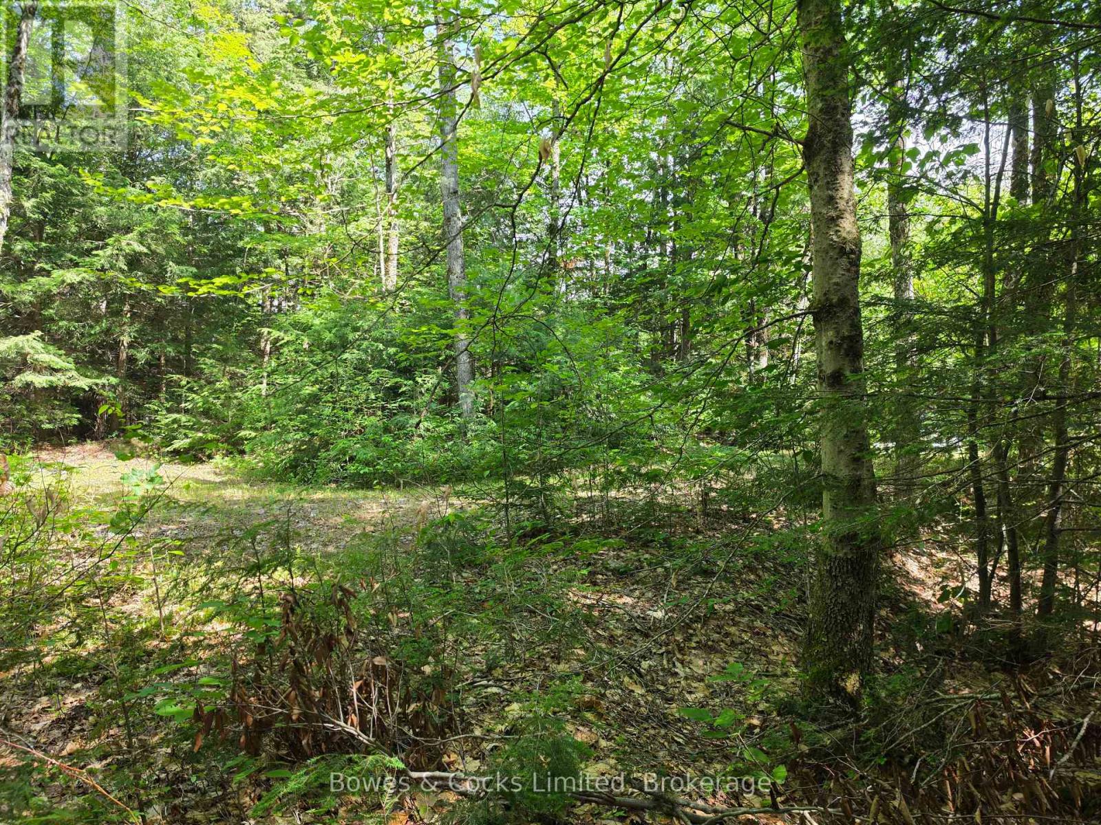 1160 Balmer Road, North Kawartha, Ontario  K0L 1A0 - Photo 8 - X13540040