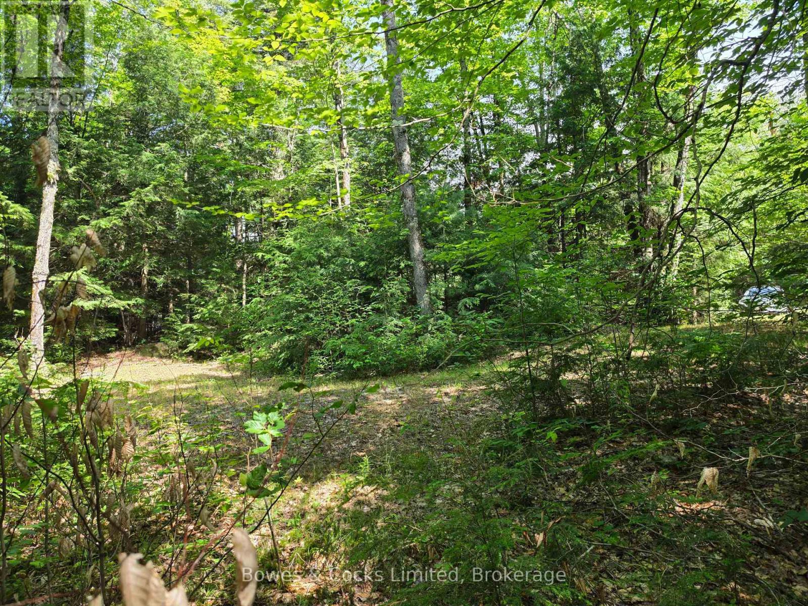 1160 Balmer Road, North Kawartha, Ontario  K0L 1A0 - Photo 9 - X13540040