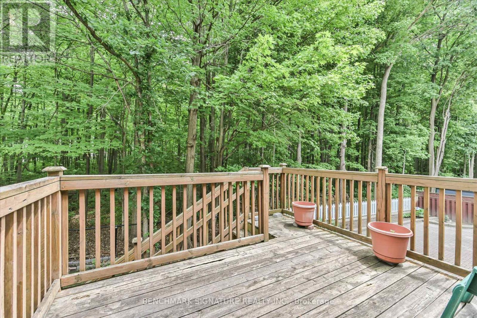 152 Blackmore Avenue, Richmond Hill, Ontario  L4B 3Y8 - Photo 46 - N13547302