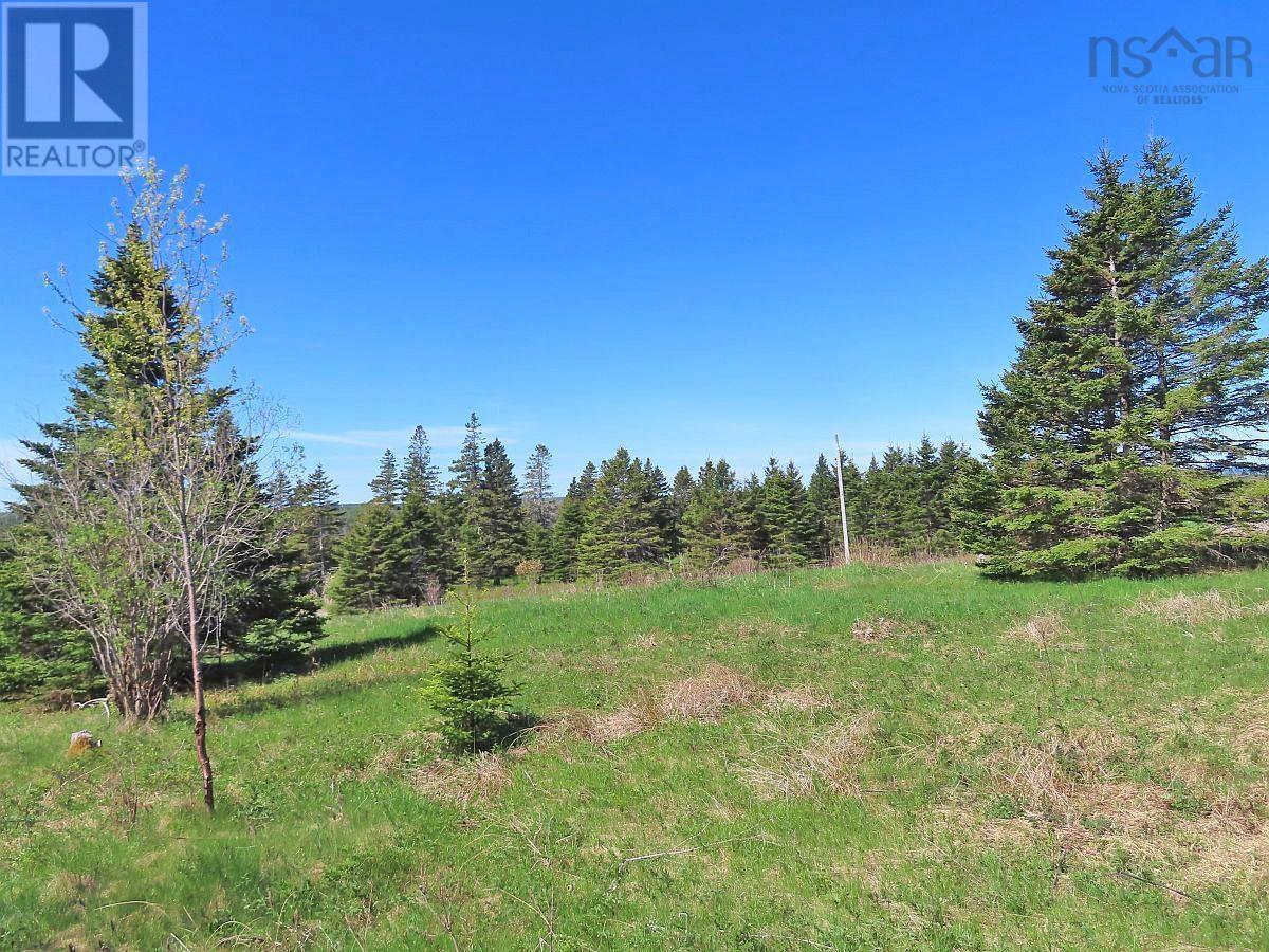 Lot 4 Highway 4, Soldiers Cove, Nova Scotia  B0E 3B0 - Photo 11 - 202403879