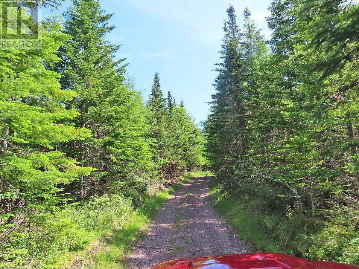 Lot 4 Highway 4, Soldiers Cove, Nova Scotia  B0E 3B0 - Photo 14 - 202403879