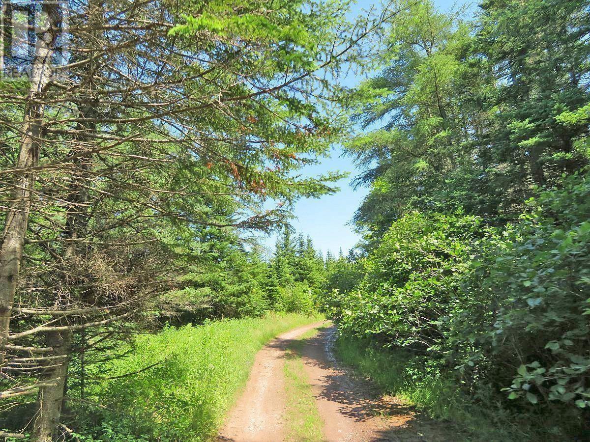 Lot 4 Highway 4, Soldiers Cove, Nova Scotia  B0E 3B0 - Photo 12 - 202403879
