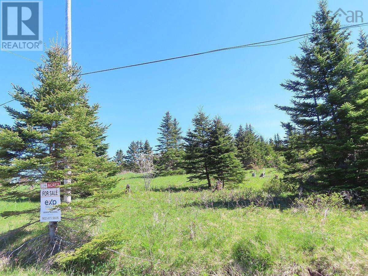 Lot 4 Highway 4, Soldiers Cove, Nova Scotia  B0E 3B0 - Photo 2 - 202403879